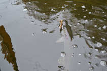 foto/forum/2012/th-img21286.jpg