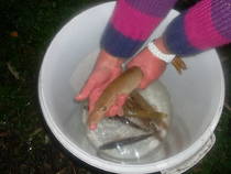 foto/forum/2012/th-img21302.jpg