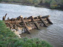 foto/forum/2012/th-img21309.jpg