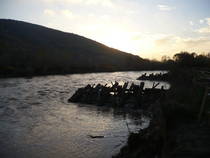 foto/forum/2012/th-img21314.jpg