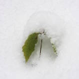 foto/forum/2012/th-img21320.jpg