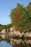 foto/forum/2012/th-img21323.jpg
