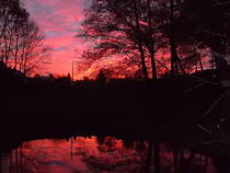 foto/forum/2012/th-img21351.jpg