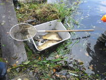 foto/forum/2012/th-img21353.jpg