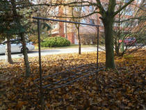 foto/forum/2012/th-img21379.jpg