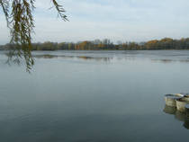 foto/forum/2012/th-img21399.jpg