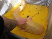 foto/forum/2012/th-img21404.jpg