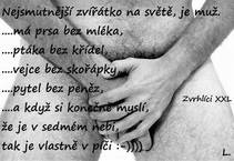 foto/forum/2012/th-img21460.jpg