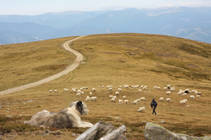 foto/forum/2012/th-img88749.jpg