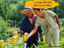 foto/forum/2012/th-img88784.jpg