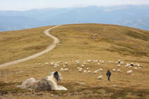foto/forum/2012/th-img88807.jpg