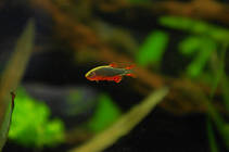 foto/forum/2012/th-img89362.jpg