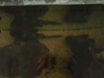 foto/forum/2012/th-img89479.jpg