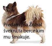 foto/forum/2012/th-img90060.jpg
