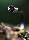 foto/forum/2012/th-img90105.jpg