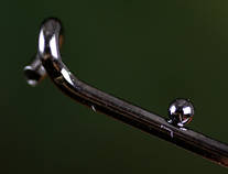 foto/forum/2012/th-img90106.jpg