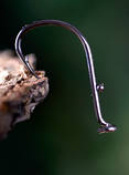 foto/forum/2012/th-img90107.jpg