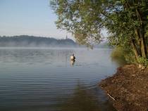 foto/forum/2012/th-img90313.jpg