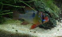 foto/forum/2012/th-img90614.jpg