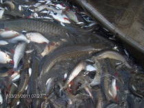 foto/forum/2012/th-img90798.jpg