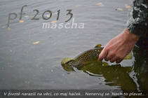 foto/forum/2012/th-img90825.jpg