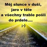 foto/forum/2013/th-img100054.jpg