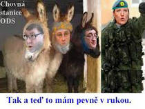 foto/forum/2013/th-img100764.jpg