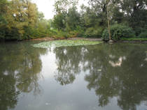 foto/forum/2013/th-img101007.jpg