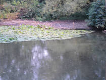 foto/forum/2013/th-img101008.jpg