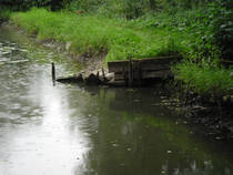 foto/forum/2013/th-img101010.jpg