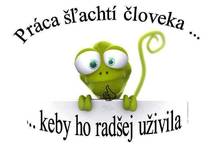 foto/forum/2013/th-img101041.jpg