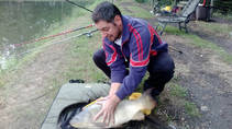 foto/forum/2013/th-img101110.jpg