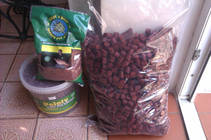foto/forum/2013/th-img101215.jpg
