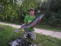 foto/forum/2013/th-img101412.jpg