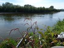 foto/forum/2013/th-img102030.jpg