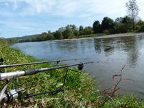 foto/forum/2013/th-img102031.jpg