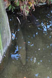 foto/forum/2013/th-img102036.jpg