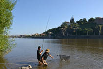 foto/forum/2013/th-img102047.jpg