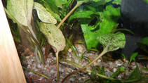 foto/forum/2013/th-img102130.jpg