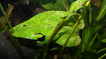foto/forum/2013/th-img102131.jpg