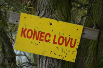 foto/forum/2013/th-img102209.jpg