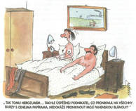 foto/forum/2013/th-img102302.jpg