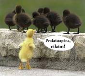 foto/forum/2013/th-img102316.jpg