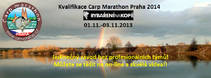 foto/forum/2013/th-img102374.jpg
