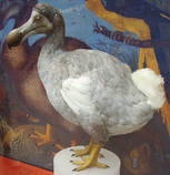 foto/forum/2013/th-img102430.jpg