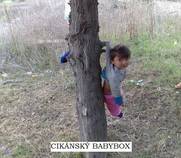 foto/forum/2013/th-img102711.jpg