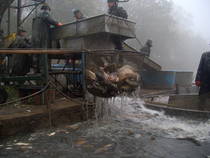 foto/forum/2013/th-img102749.jpg