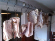 foto/forum/2013/th-img102773.jpg