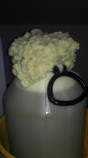 foto/forum/2013/th-img102774.jpg
