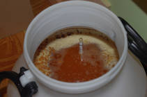 foto/forum/2013/th-img102852.jpg